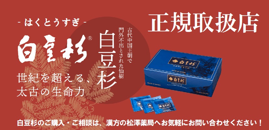 白豆杉